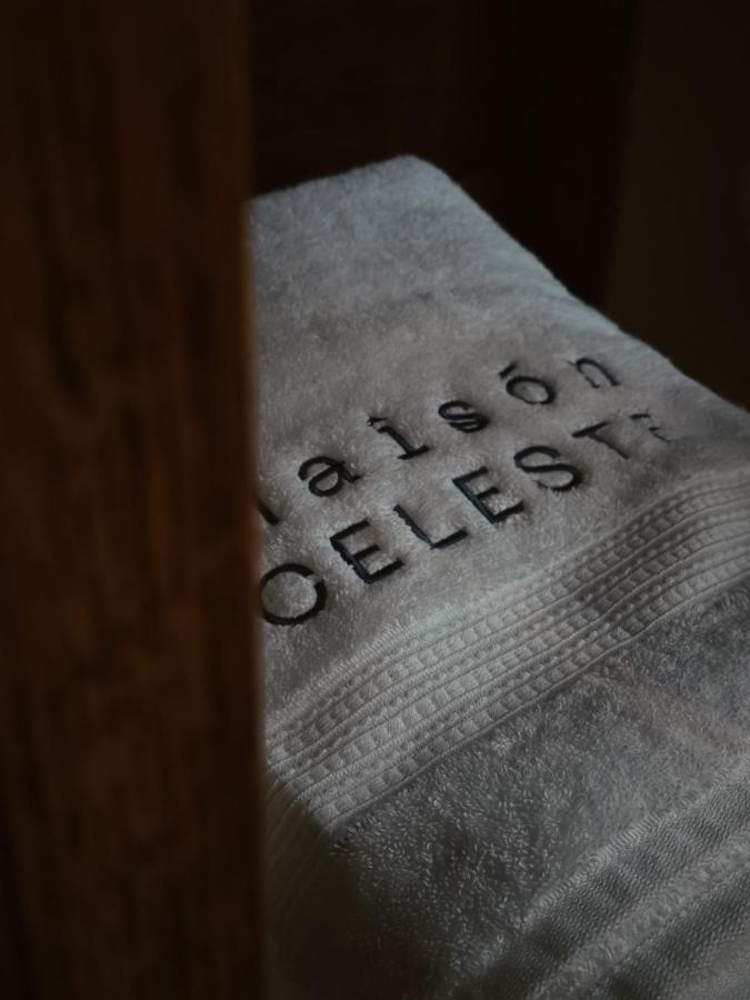 Maison Celeste 멕시코 시 외부 사진